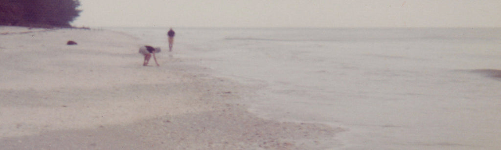 Petoskey Stone Collection