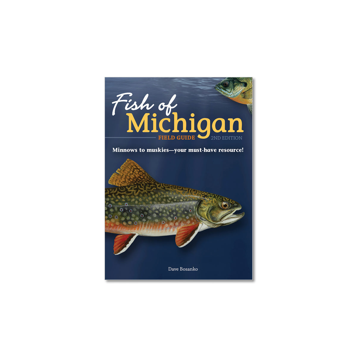 Fish of Michigan Field Guide | Peninsulas