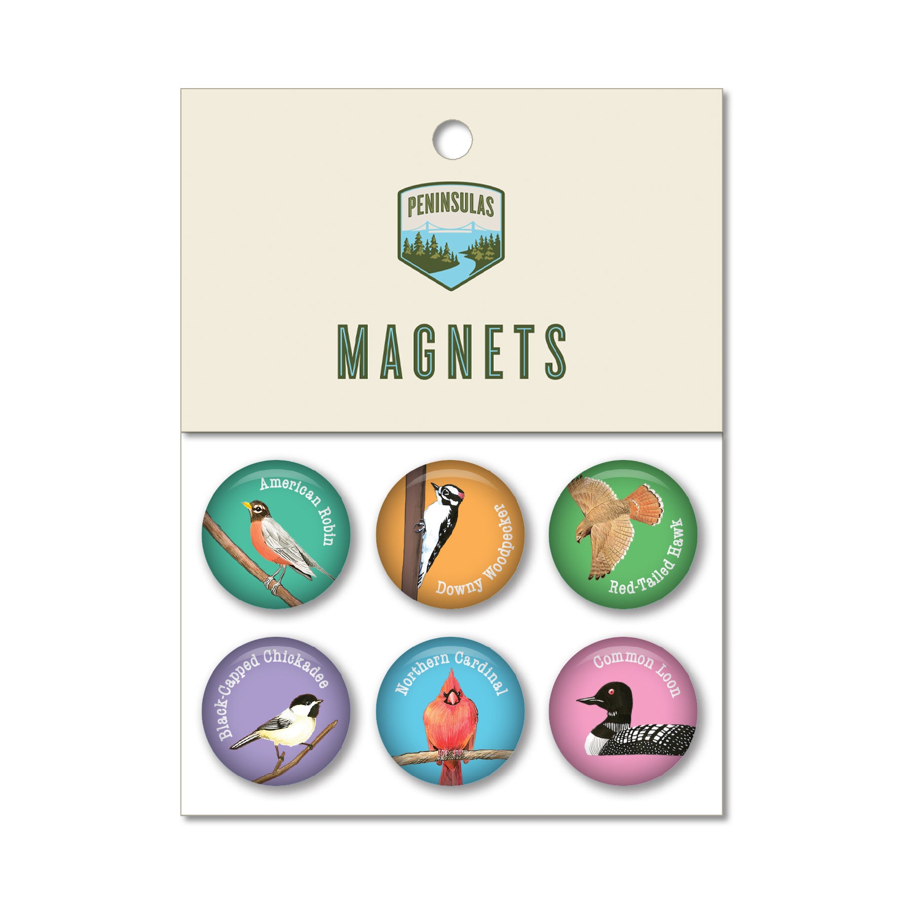Magnete Da Frigorifero Souvenir Collezionabile – Michigan State Elements, In PVC Resistente
